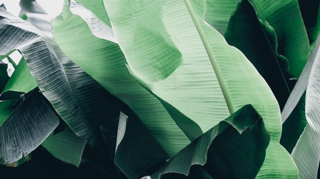 Нуждается в уходе врача: как развивается дистанционный мониторинг пациентов