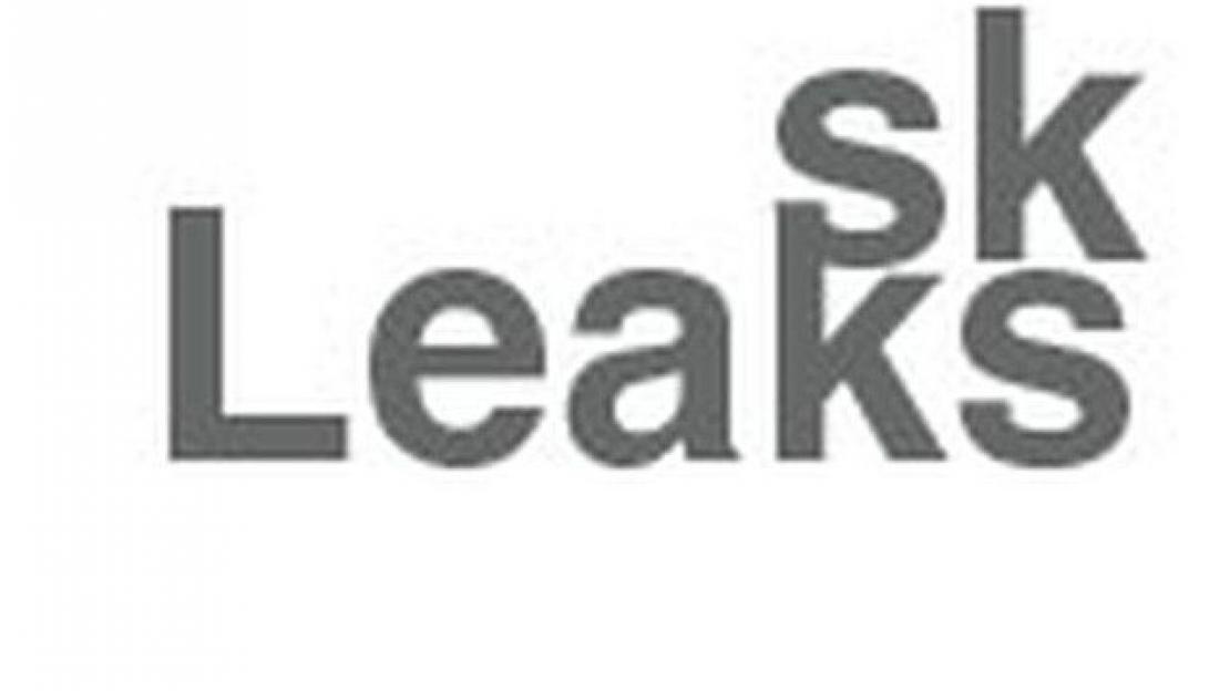 Skolkovo Leaks - о результатах акселератора